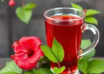 chá de hibisco