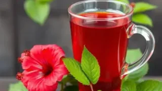 chá de hibisco